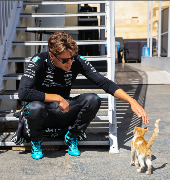 George Russell with one of the paddock kittens